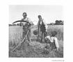 Page: - 199 | Aperture