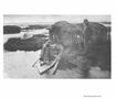 Page: - 215 | Aperture
