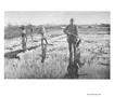 Page: - 219 | Aperture