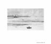 Page: - 237 | Aperture