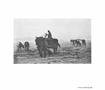 Page: - 239 | Aperture