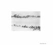 Page: - 243 | Aperture