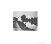 Page: - 247 | Aperture