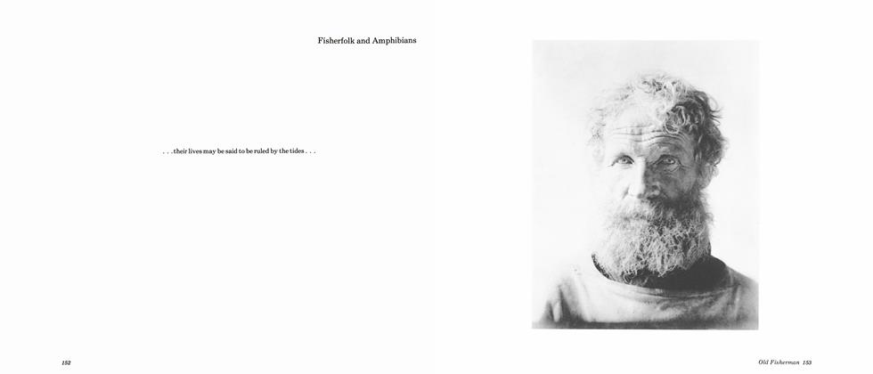 Fisherfolk And Amphibians