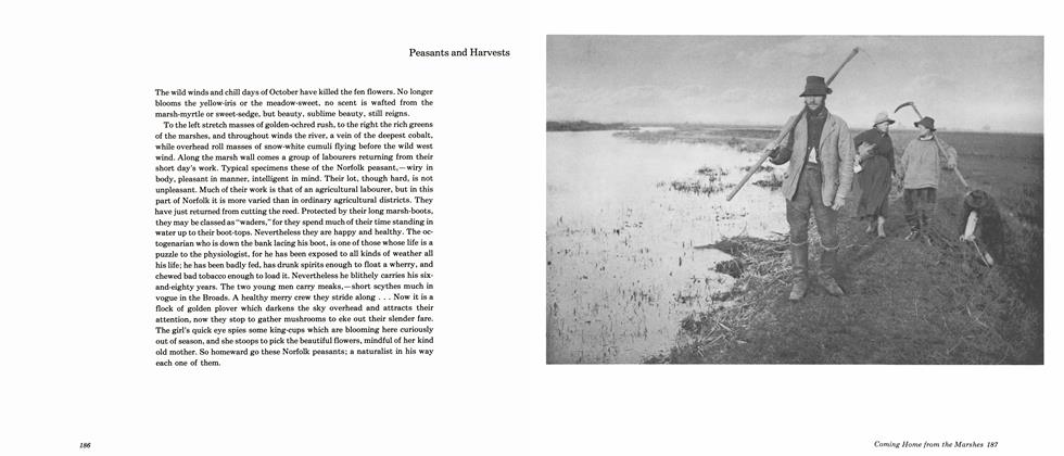 Peasants And Harvests