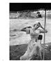 Page: - 28 | Aperture