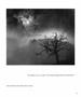 Page: - 37 | Aperture