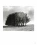 Page: - 69 | Aperture