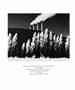 Page: - 80 | Aperture
