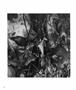 Page: - 56 | Aperture