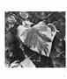 Page: - 57 | Aperture