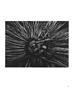 Page: - 15 | Aperture