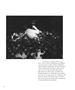 Page: - 52 | Aperture