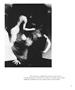 Page: - 57 | Aperture