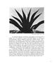 Page: - 67 | Aperture