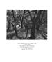 Page: - 80 | Aperture