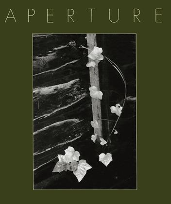 Minor White: Rites & Passages | Aperture | Winter 1978