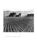 Page: - 117 | Aperture