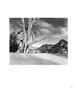 Page: - 118 | Aperture