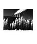 Page: - 129 | Aperture