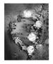 Page: - 13 | Aperture