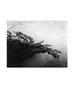 Page: - 35 | Aperture