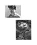 Page: - 65 | Aperture