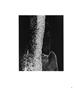 Page: - 80 | Aperture