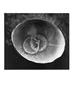 Page: - 97 | Aperture
