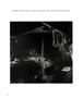 Page: - 26 | Aperture