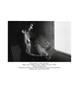 Page: - 79 | Aperture