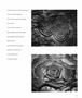 Page: - 19 | Aperture