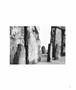 Page: - 27 | Aperture