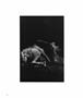 Page: - 40 | Aperture