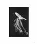 Page: - 43 | Aperture