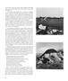 Page: - 56 | Aperture