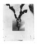 Page: - 73 | Aperture