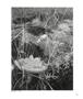 Page: - 105 | Aperture