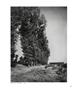 Page: - 106 | Aperture
