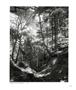 Page: - 107 | Aperture