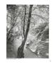 Page: - 109 | Aperture
