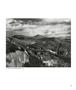 Page: - 88 | Aperture