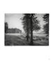 Page: - 93 | Aperture
