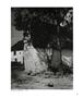 Page: - 96 | Aperture