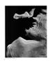 Page: - 30 | Aperture