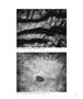 Page: - 31 | Aperture