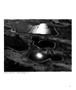 Page: - 33 | Aperture