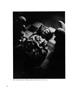 Page: - 60 | Aperture