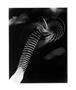 Page: - 71 | Aperture