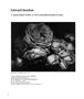 Page: - 78 | Aperture